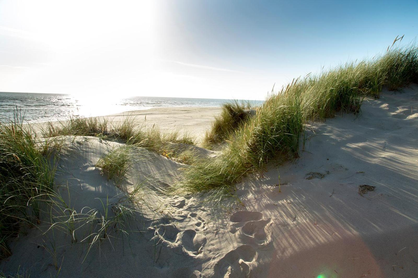 Barmouth Bay Holiday Park Llanddwywe Zewnętrze zdjęcie